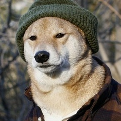 Михаил Титов, Санкт-Петербург