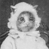 Наталья Ефимова, 14.06.1976, Санкт-Петербург