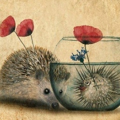 Валентина Левицька, 11.02.1985, Луцк