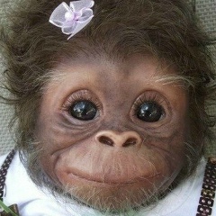 Микола Гриценко, 17.05.1989, Ивано-Франковск