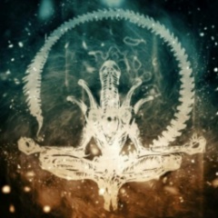 Вероничка Перфильева, 21.08.1987, Санкт-Петербург