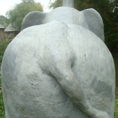 Николай Шаповал, 29.07.1986