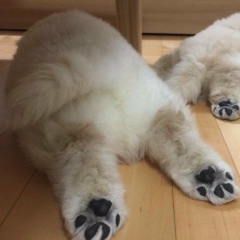 Зылкия Ахметжанова, 21.08.1996