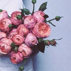 Дубай Тагаева