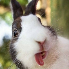 Аманбек Ихсан, 16.12, Ürümqi