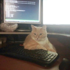 Никита Носов, 26.09.1989, Омск