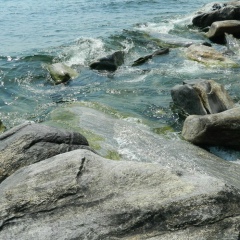 Илья Ильин, 23.01, Oranienburg