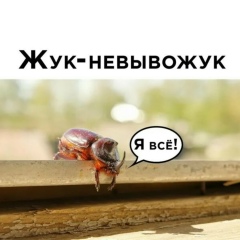Сергей Жуков, 19.06.1999, Москва
