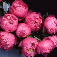 Эльмира Ниязбекова, 28.10, Алматы