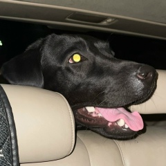 Betty Park, 26.04, Бишкек