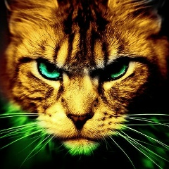 Денис Шарай, 09.04.1987, Москва