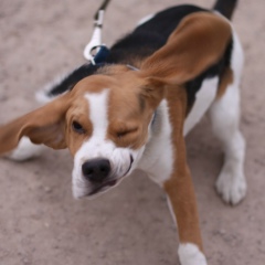 Denis Karabanov, 10.02.1988, Москва