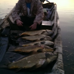 Клим Кильдюшев, 27.10, Москва