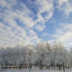 Шахноза Алижонова