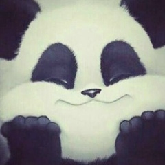 Ис Мадаев, 23.12, Грозный