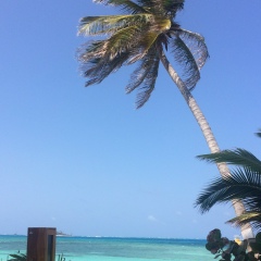 Наталья Петрова, 01.11, Barcelona