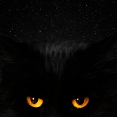 Петр Николаев, 22.02.1989, Самара