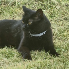 Юлия Терентьева