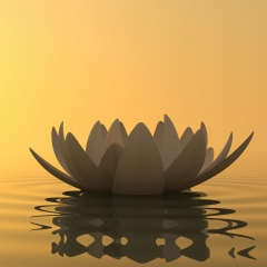 Влада Воробьёва, 11.04.1986, Санкт-Петербург