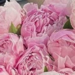 Aliya Adambaeva, 21.01, Алматы