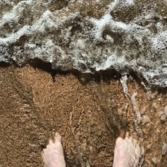 Дамир Мурзин, 24.11.1987, Москва