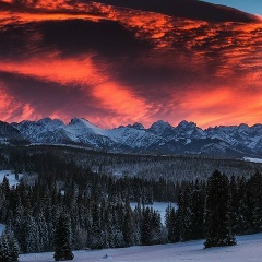 Виктор Конанов, 21.11, Харьков