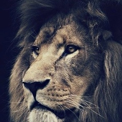 Vadim Kahn, 24.06.1991, Самара