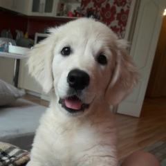 Анна Кушнарева, 17.12, Уфа