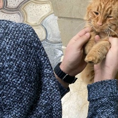 Кямран Абумуслимов, 01.01, Баку