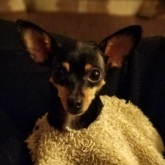 Александр Олисов, 13.04.1988, Екатеринбург