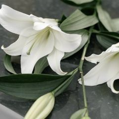 Анастасия Фалеева, 07.05.1989