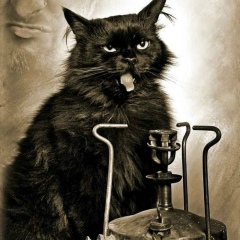 Антон Антонов, 01.01, Тольятти