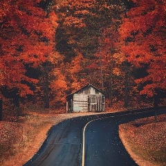 Elbrus Amiroff, Баку