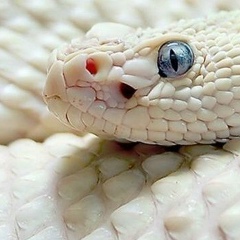 Регина Гатауллина, 27.09, Москва