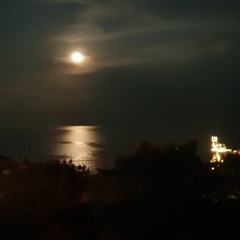 Ринат Мандыбура, Ялта