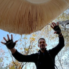 Андрей Петров, Севастополь