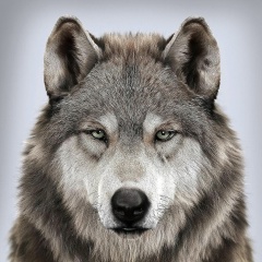 Сергей Онегов-Верещинский, 04.10.1982, Барнаул