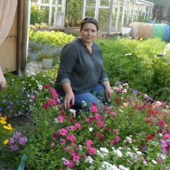 Елена Мандрыгина