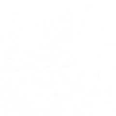 Дима Павлов