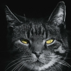 Дмитрий Ефименко, 21.09