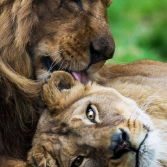 Алеся Попрядухина, 16.08, Санкт-Петербург