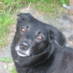 Гена Кузьмин, 25.12.1991, Москва