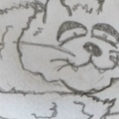 Тёма Саруханов, 10.08.1985, Санкт-Петербург