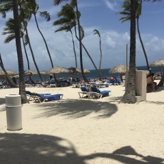 Залим Докшукин, 01.01.1920, Москва