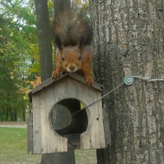 Наталья Захарова, 01.02.1985, Санкт-Петербург