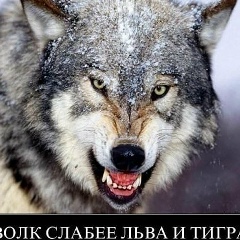 Кона Айтказы, 07.08.1986, Семей