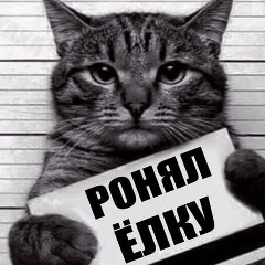 Саша Чуранов, 30.10, Санкт-Петербург