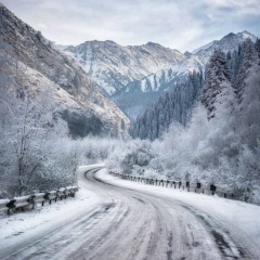 Мен Ол, 12.02.1986, Текели