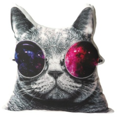 Станислав Лысенко, 07.11, Днепр (Днепропетровск)