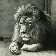 Дмитрий Дерягин, 11.08.1982, Краматорск